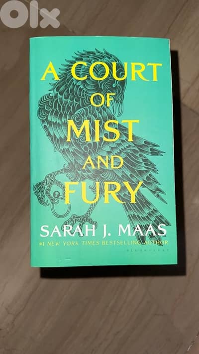 A court of Mist and fury
