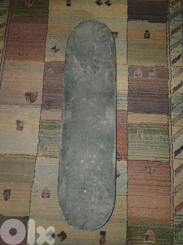 skateboard 1