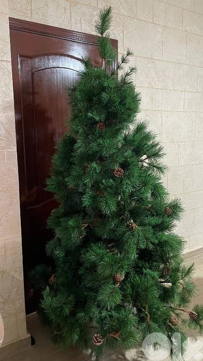 شجرة كريسماس