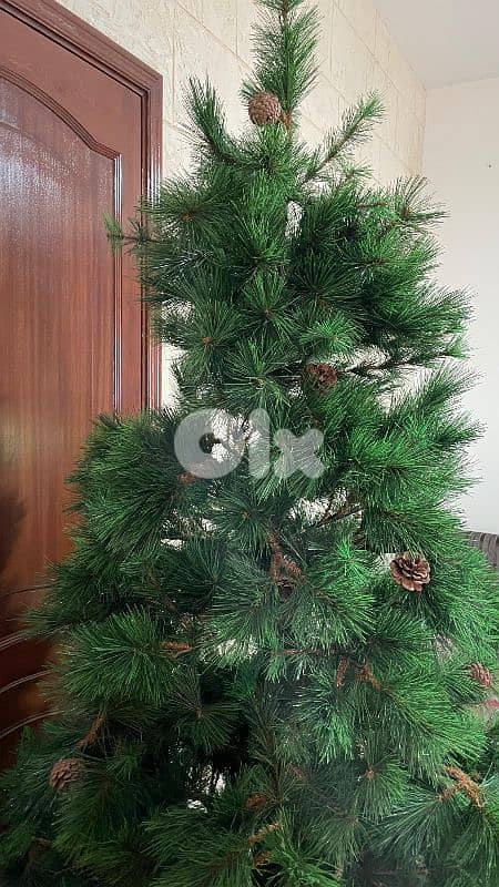 شجرة كريسماس 2