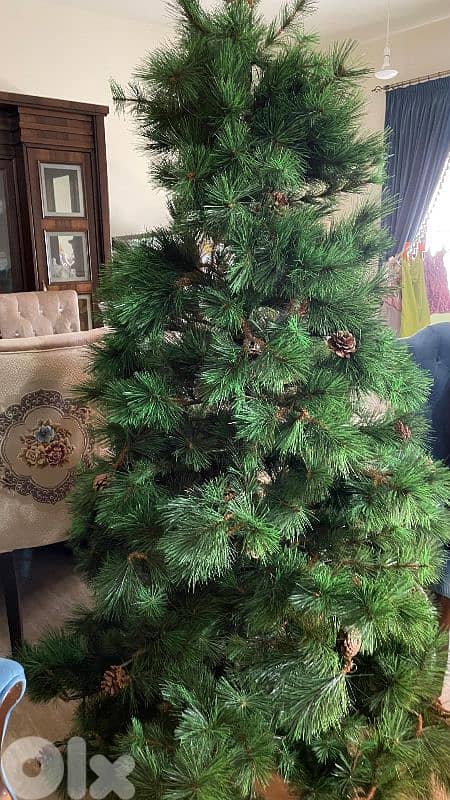 شجرة كريسماس 3