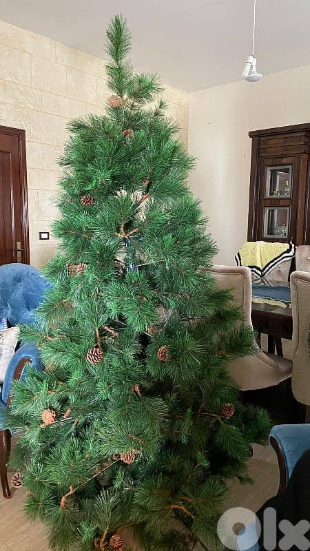 شجرة كريسماس 5