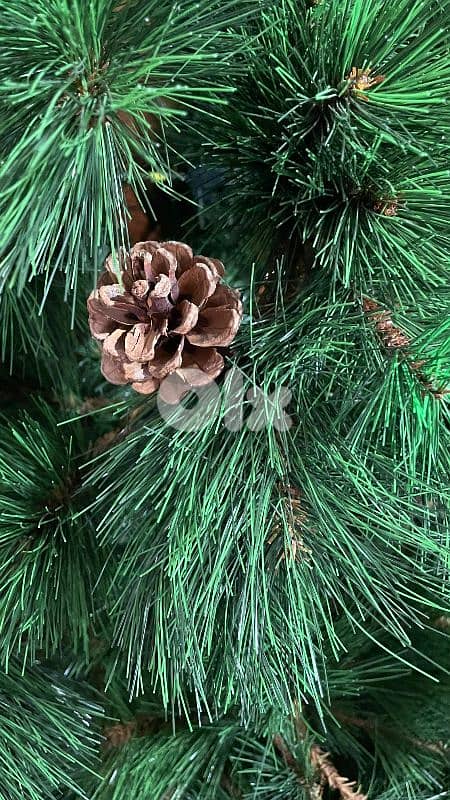 شجرة كريسماس 6