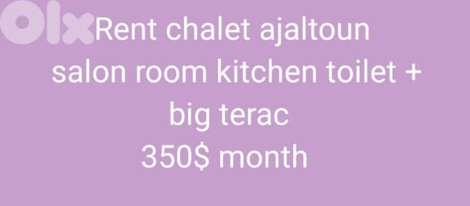 rent apartment ajaltoun + big terac salon room view
