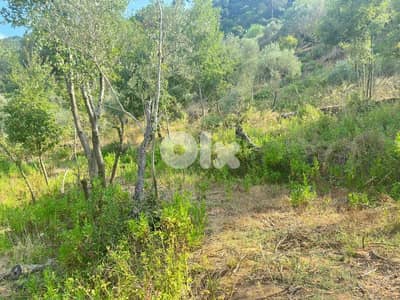 ارض للبيع في دميت