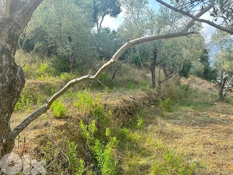 ارض للبيع في دميت 2