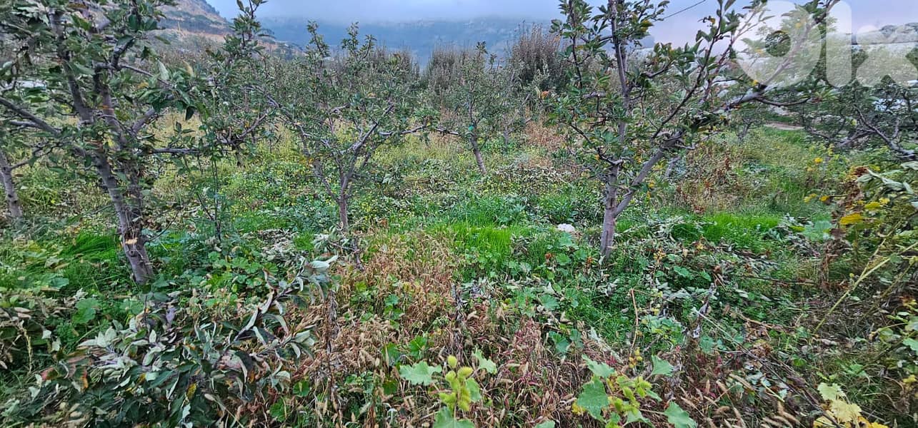 RWK229GZ - Flat land for sale in Hrajel with Mountain View 5