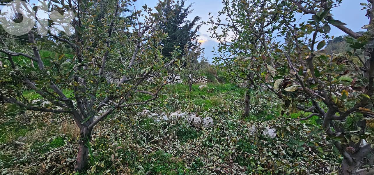 RWK229GZ - Flat land for sale in Hrajel with Mountain View 6