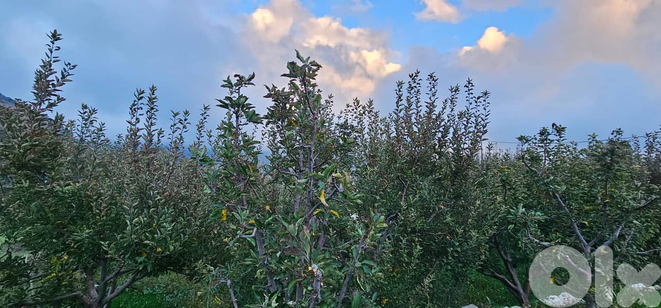 RWK229GZ - Flat land for sale in Hrajel with Mountain View 11