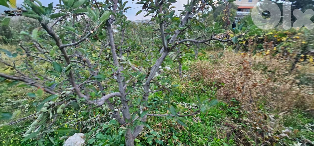 RWK229GZ - Flat land for sale in Hrajel with Mountain View 15