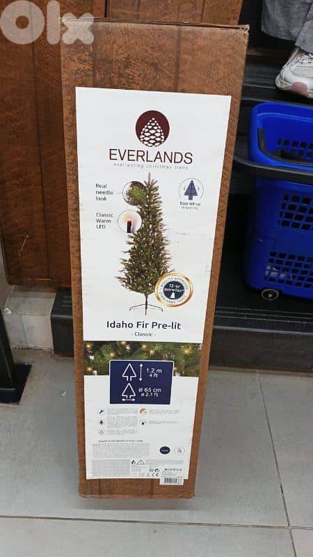 شجرة ميلاد 1