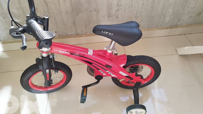 Bicycle for kids 1