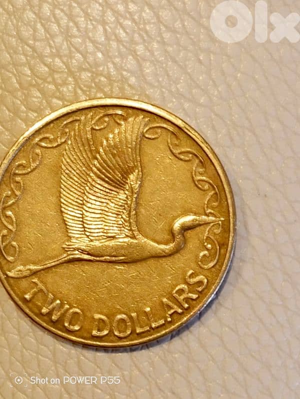 صيدا لبنان 1