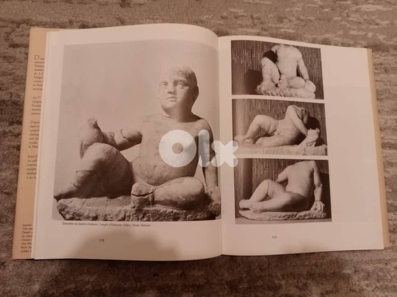 Sidon à travers les âges by Nina Jidejian 2