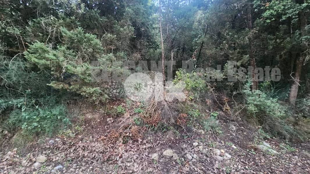 Attractive Land | Kfour | 860 Sq. m 3