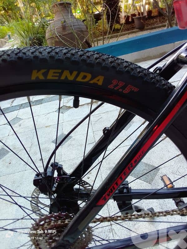 Professional Bicycle TWITTER 700 PRO 12