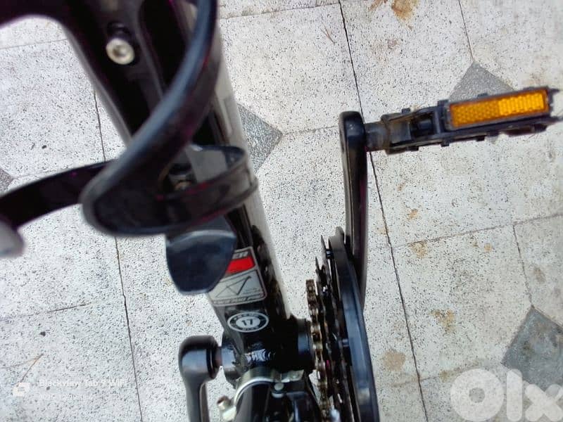 Professional Bicycle TWITTER 700 PRO 15