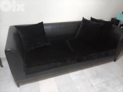 المتن بيت الشعار