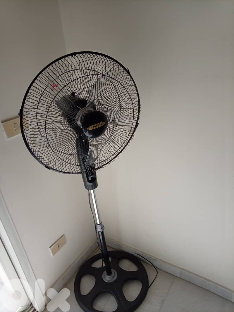 المتن بيت الشعار 2