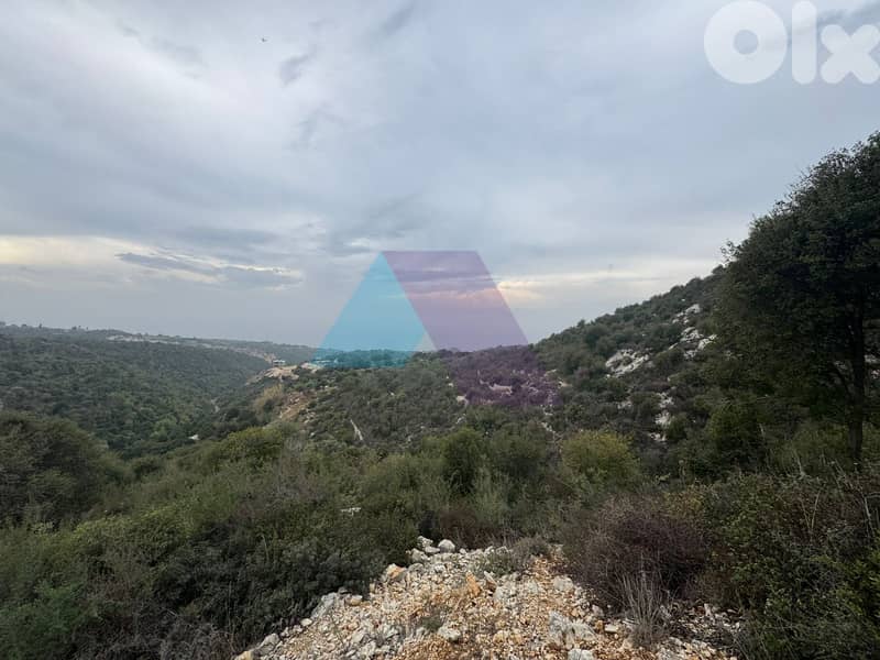 1015m2 Catchy land+sea view 4sale in Berbara/Jbeil-أرض للبيع في بربارا 2