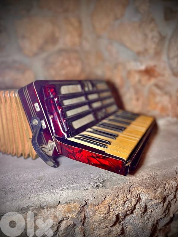 Vintage Royal Bellona Accordion - 1950s 2