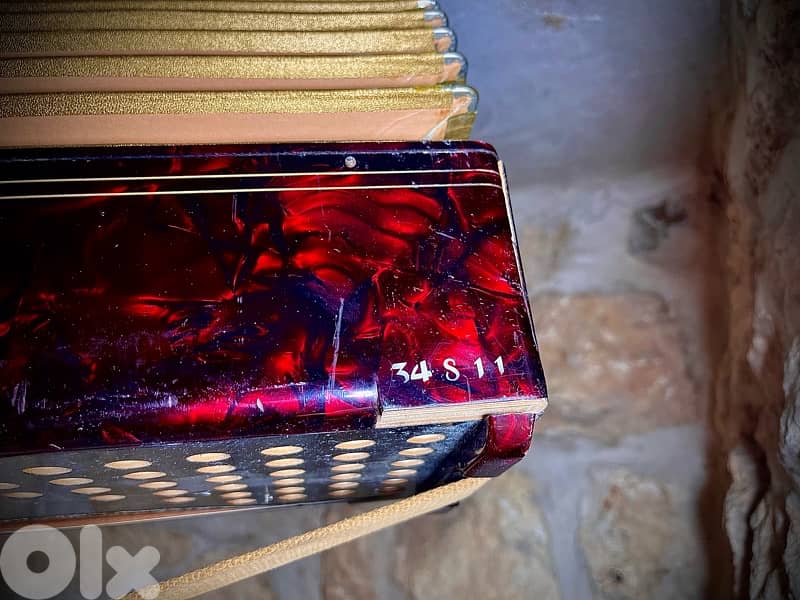 Vintage Royal Bellona Accordion - 1950s 3