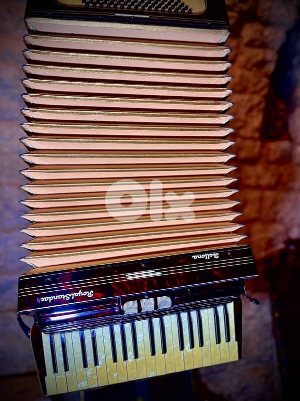 Vintage Royal Bellona Accordion - 1950s 4