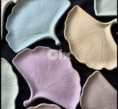 تخف جبس concrete