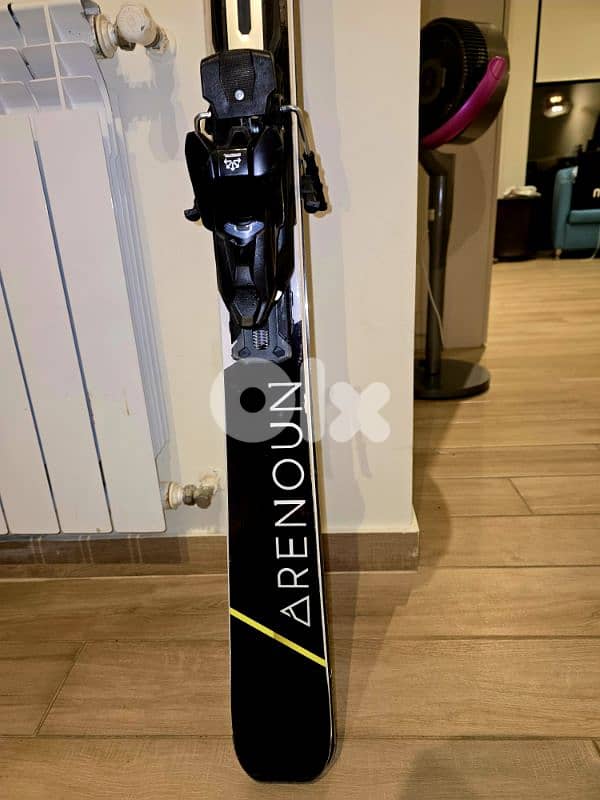 Renoun ski 6
