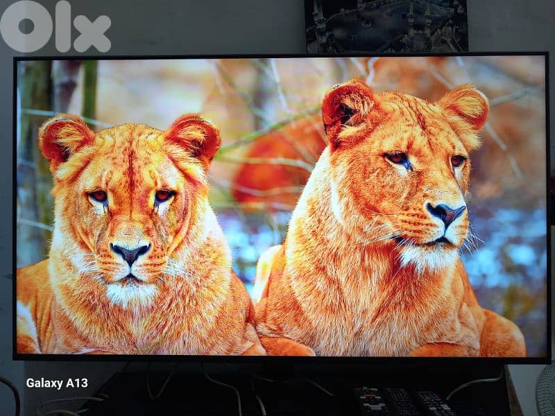 SAMSUNG 55 4K OLED TV 1