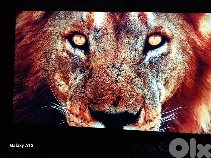 SAMSUNG 55 4K OLED TV 3