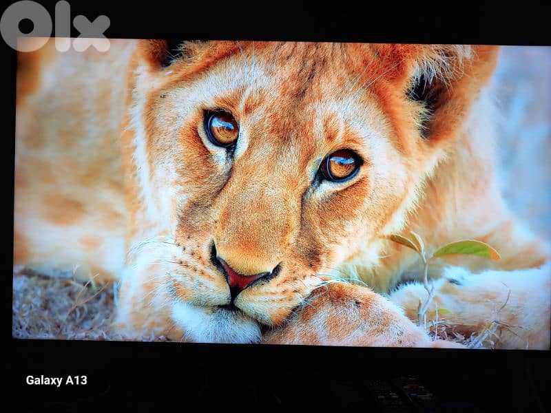 SAMSUNG 55 4K OLED TV 4