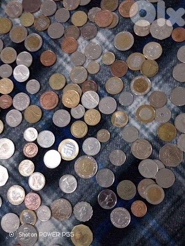 صيدا لبنان 1