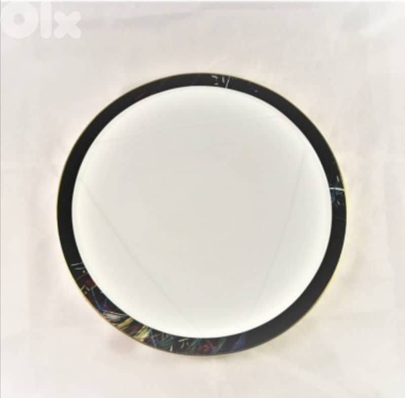 Bernardaud porcelain- Limoges France 6