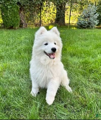 أحلى الأسعار