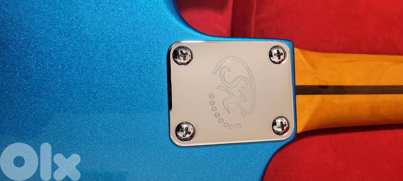 SX vintage series Custom Hand Made 2