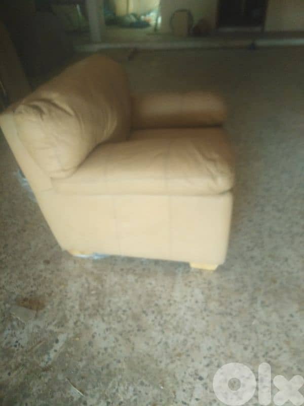 leather saloon صالون جلد 6