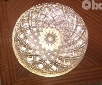 A rare model serving Plate