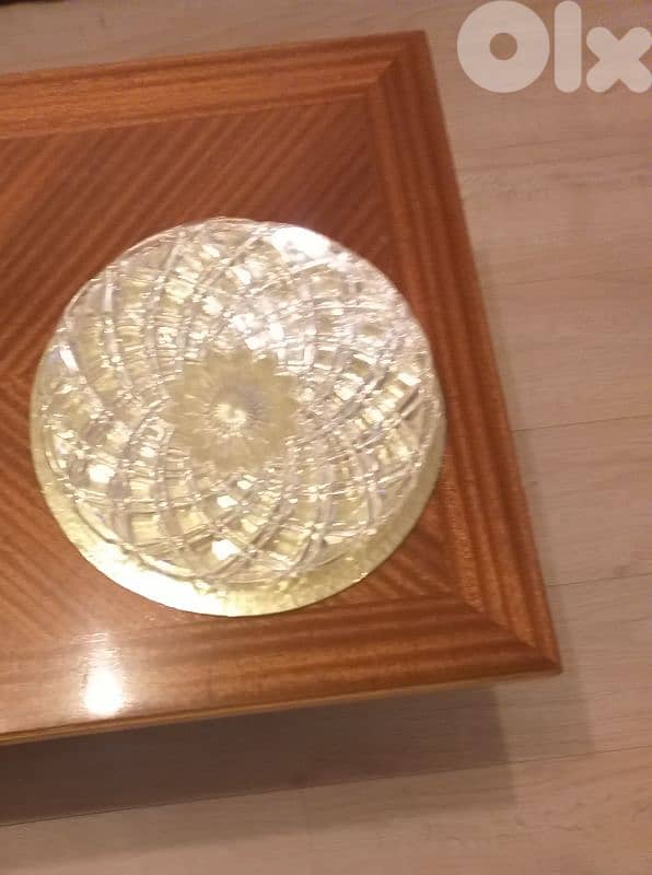 A rare model serving Plate 2