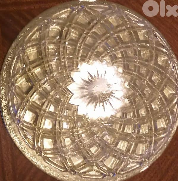 A rare model serving Plate 5