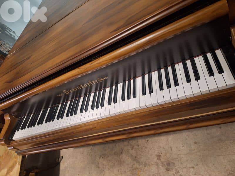 piano Steinway & bösendofer original beautiful sound amazing pieces 2