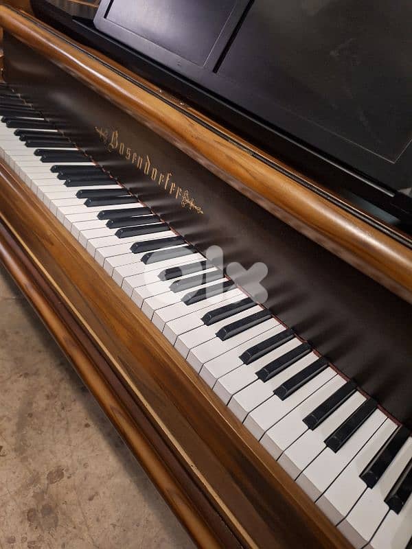 piano Steinway & bösendofer original beautiful sound amazing pieces 7