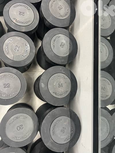 original used technogym dumbell set