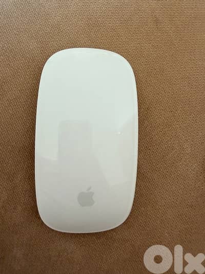 Magic Mouse Apple
