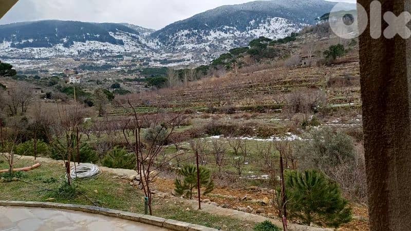 احتفل بعيد الميلاد ورأس السنة في Tulai Guesthouse- الباروك الشوف 3