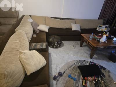 صوفاL. كبيرة