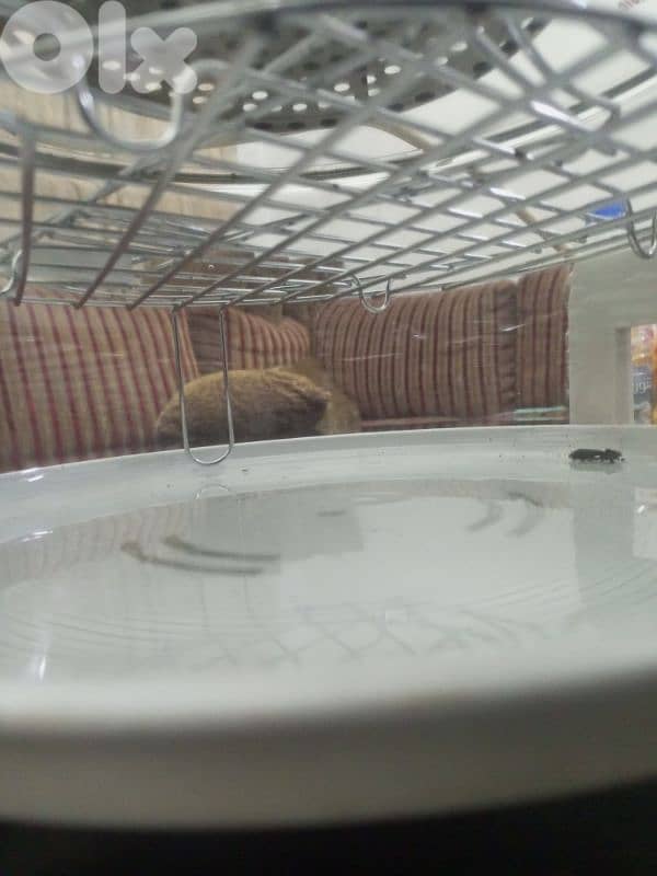 air fryer only in 20$ new 3