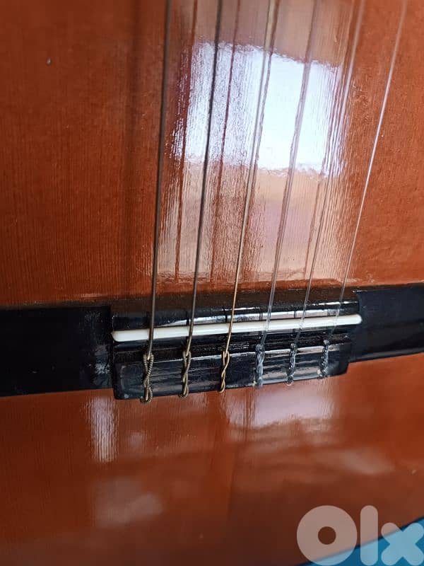 karl Schneider guitar , classic 3