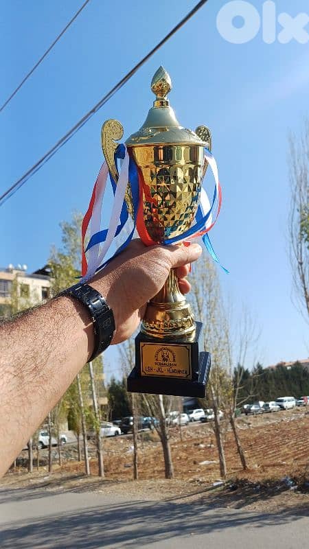 German puppies full vaccinated . ahl abtal lbnen sg1 males & females 3