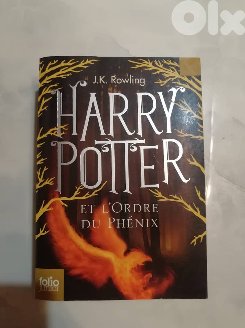 Harry Potter 5 books French 1
